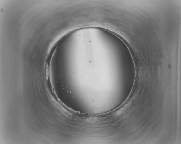 X0000059091510200510172042