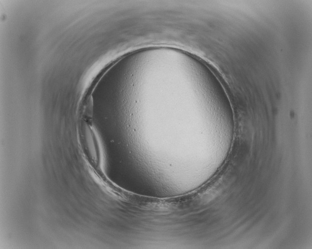 X0000059091511200510172042