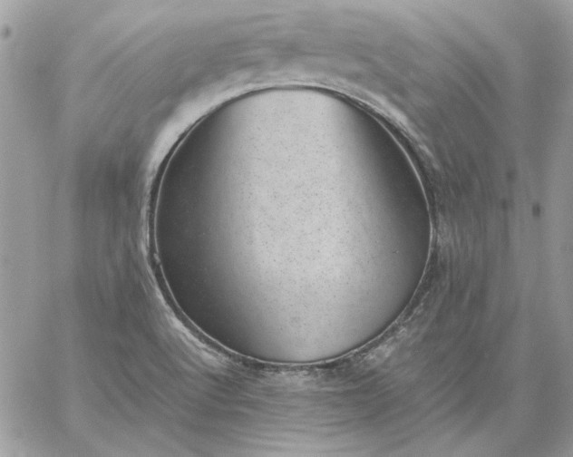 X0000059091512200510172042