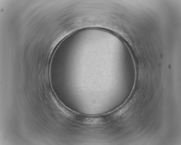 X0000059091513200510172042