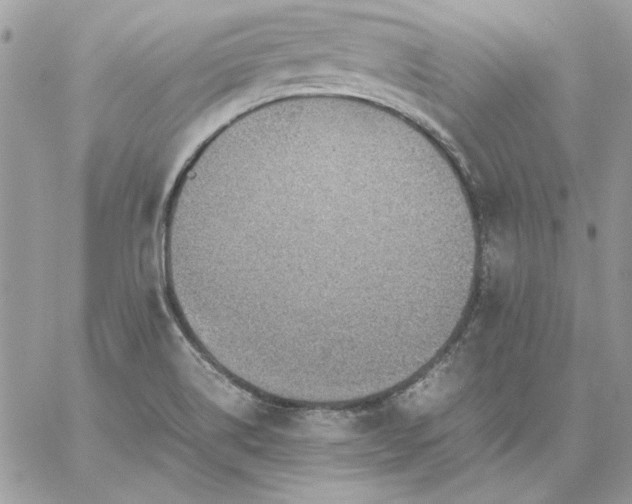 X0000059091514200510172042