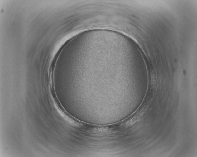 X0000059091515200510172042