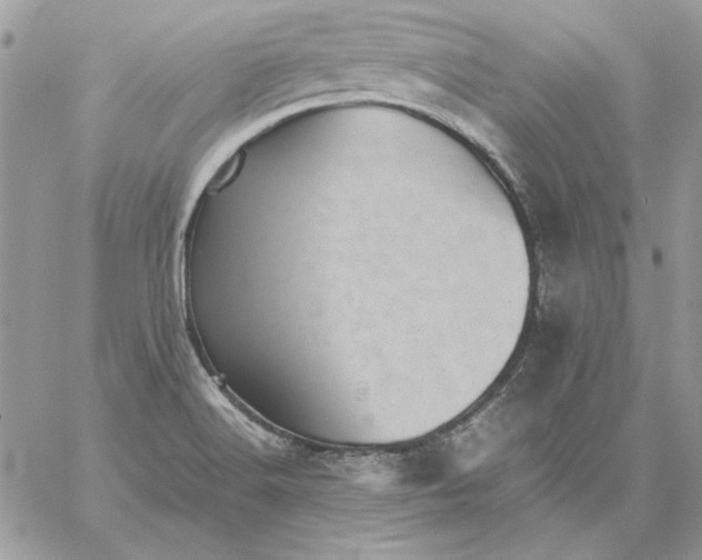 X0000059091516200510172042