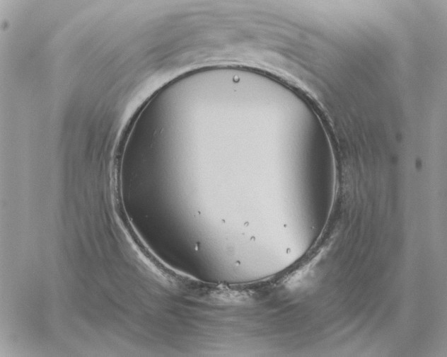 X0000059091517200510172042