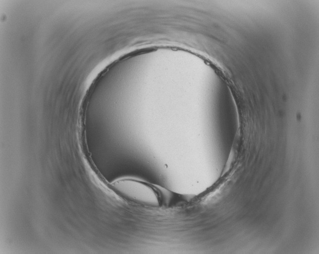 X0000059091518200510172042