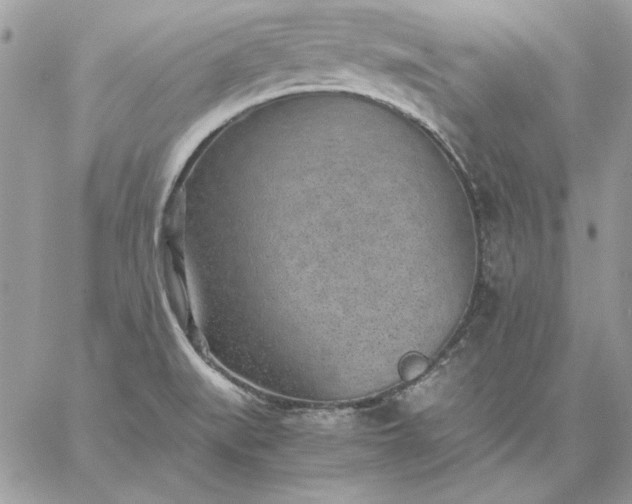 X0000059091519200510172042