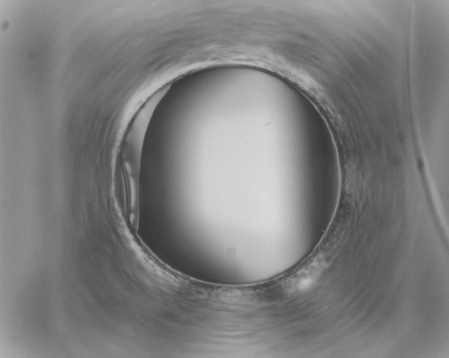 X0000059091520200510172042