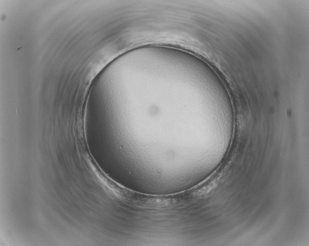 X0000059091521200510172042