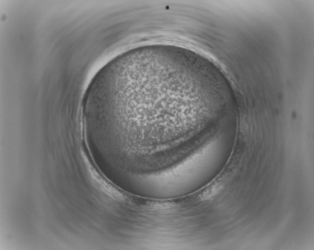 X0000059091522200510172042