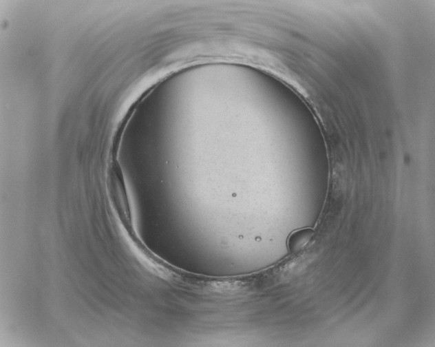 X0000059091523200510172042