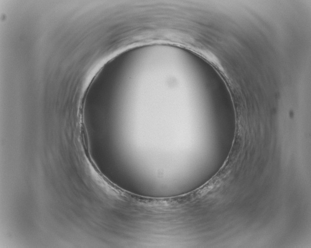 X0000059091524200510172042