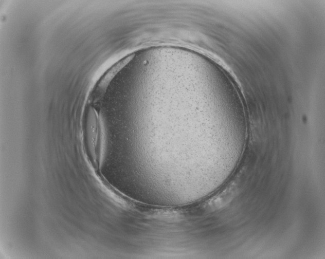 X0000059091525200510172042