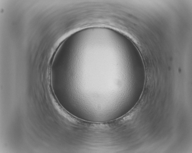 X0000059091526200510172042