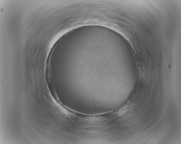 X0000059091527200510172042