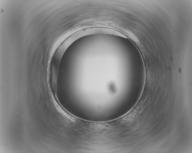 X0000059091528200510172042