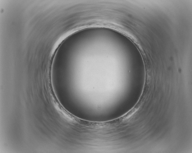 X0000059091530200510172042