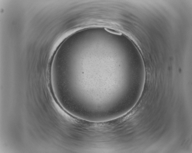 X0000059091531200510172042