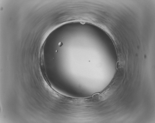 X0000059091532200510172042