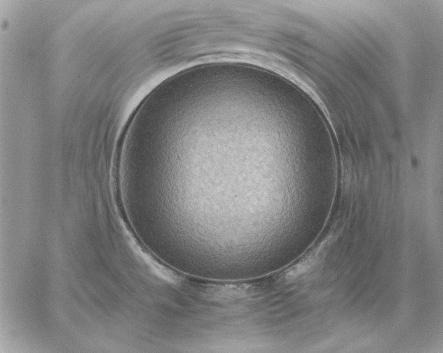 X0000059091533200510172042