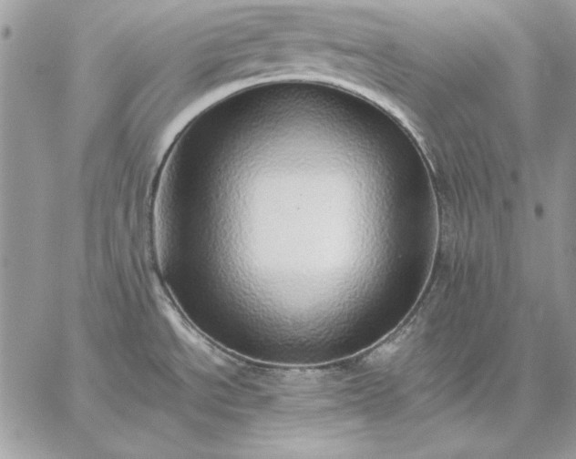 X0000059091534200510172042