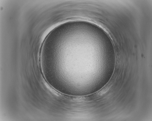 X0000059091535200510172042