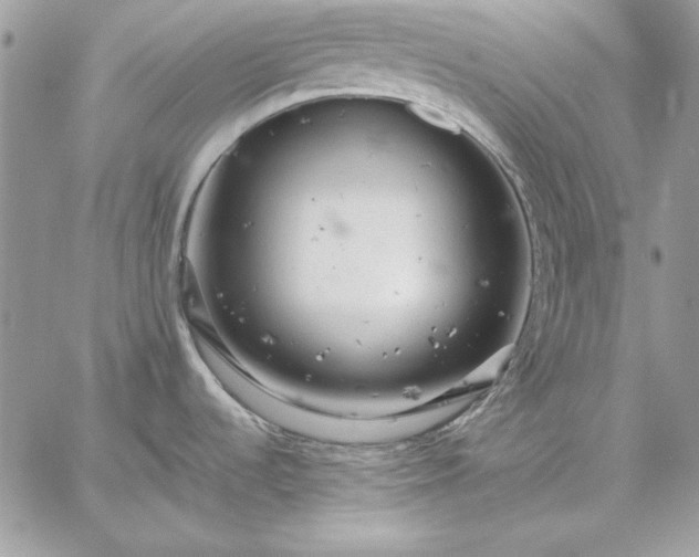 X0000059091536200510172042