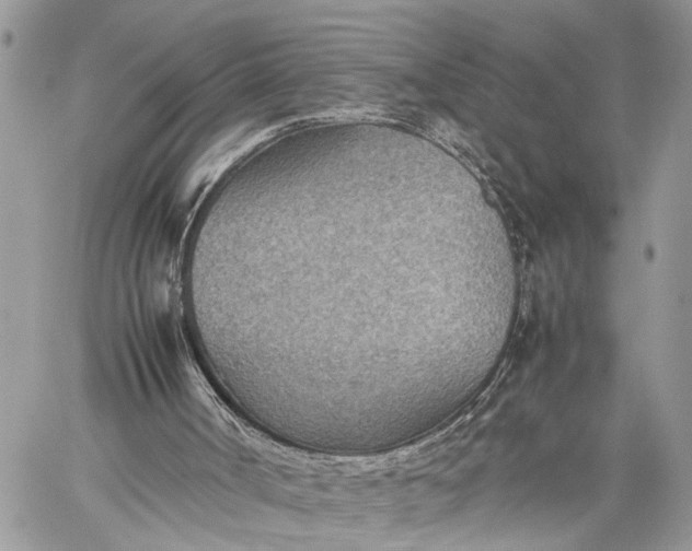 X0000059090002200510211619