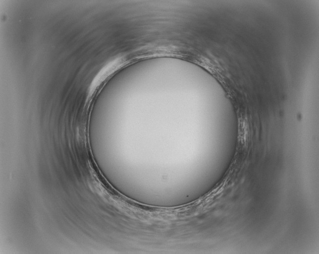 X0000059090004200510211619