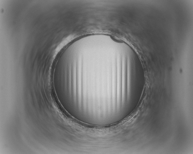 X0000059090008200510211619