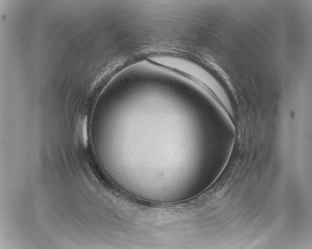 X0000059090020200510211619
