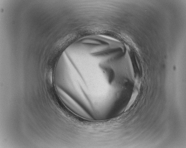 X0000059090021200510211618