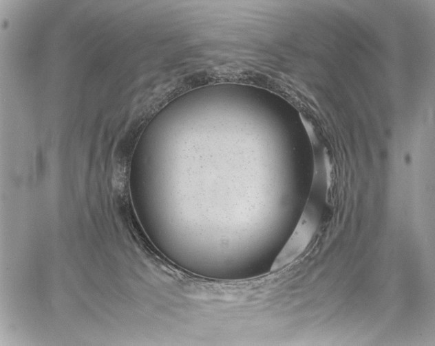X0000059090033200510211618