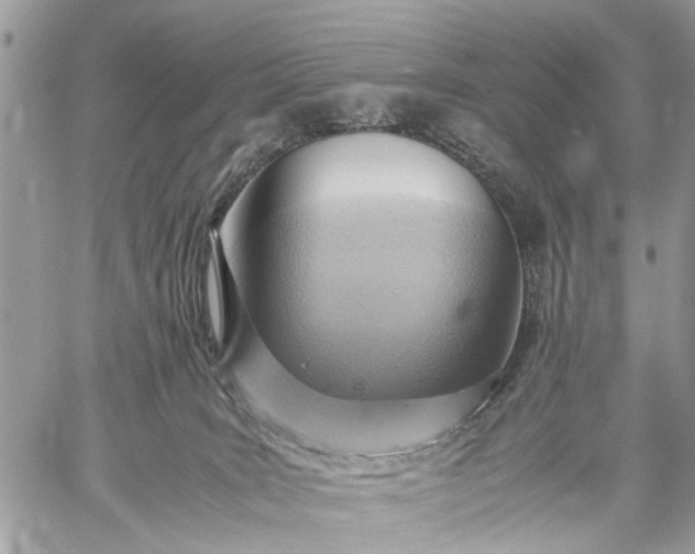 X0000059090035200510211618