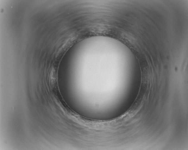 X0000059090040200510211618