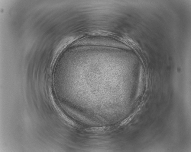 X0000059090049200510211617
