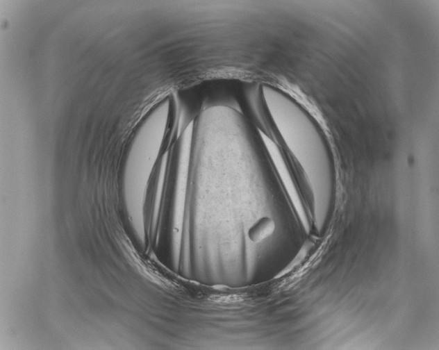 X0000059090057200510211617
