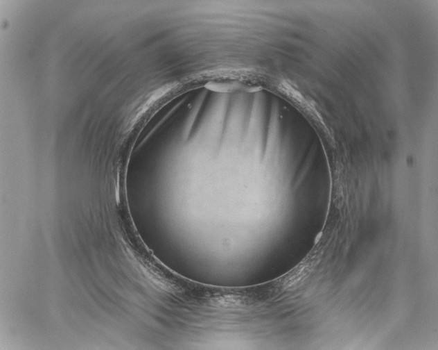 X0000059090062200510211617