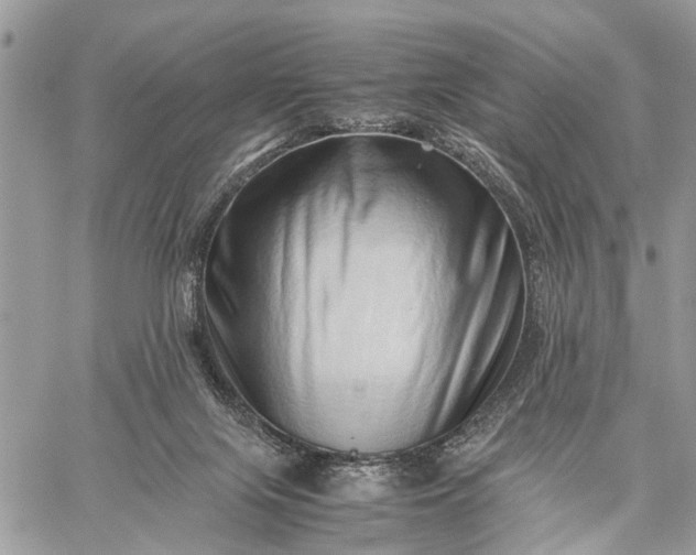 X0000059090071200510211618
