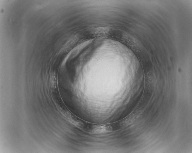 X0000059090083200510211618