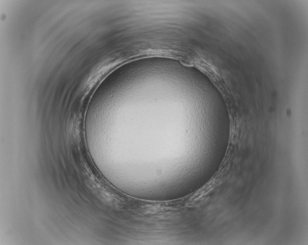 X0000059090098200510211617