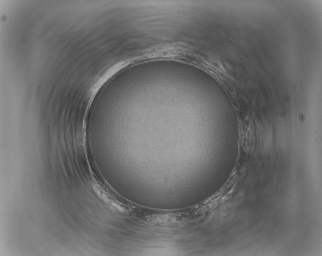 X0000059090100200510211617