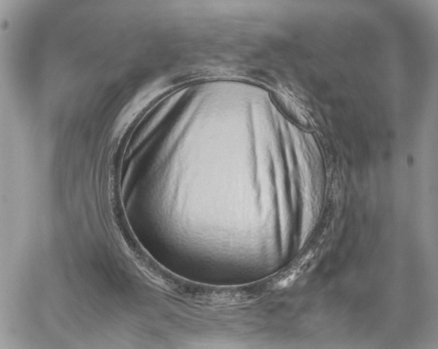 X0000059090103200510211617