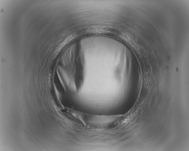 X0000059090111200510211617