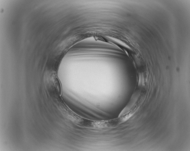 X0000059090141200510211617