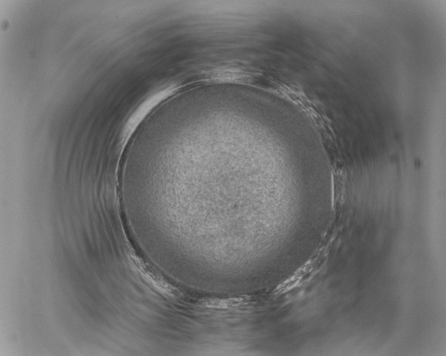 X0000059090147200510211616