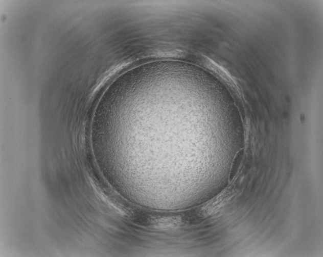 X0000059090155200510211616