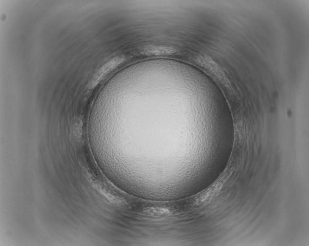 X0000059090159200510211616