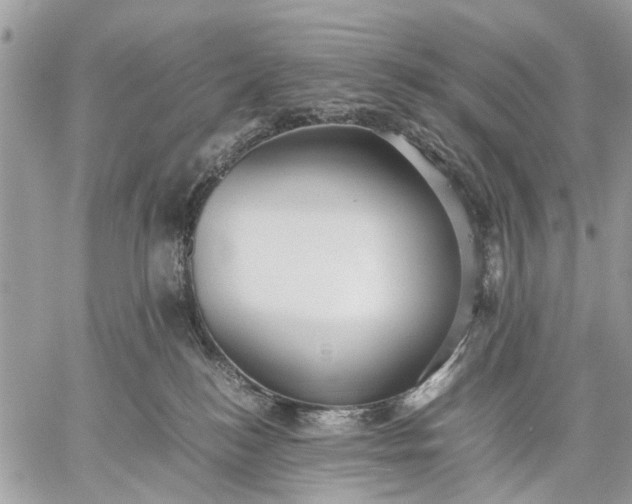 X0000059090184200510211616