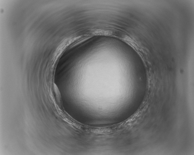 X0000059090241200510211614