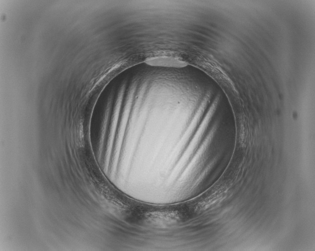 X0000059090251200510211614